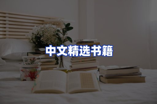 中文精选书籍