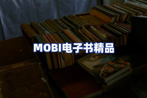 外文电子书产品